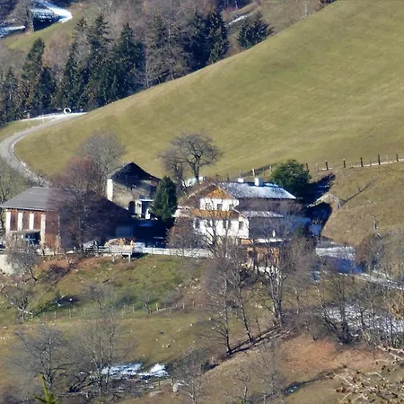 Апартаменты Haus Pleterski *