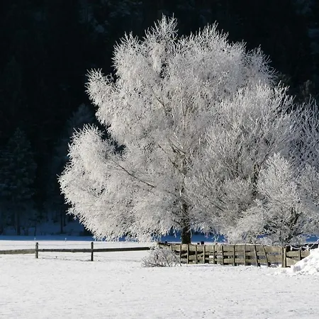 Haus Pleterski Obervellach