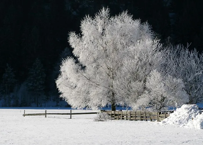 Haus Pleterski Obervellach
